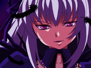 Rating: Safe Score: 0 Tags: 1girl face feathers hair_ornament image long_hair looking_at_viewer portrait purple_eyes purple_hair ribbon solo suigintou User: admin