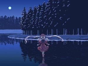 Rating: Safe Score: 0 Tags: 1girl full_moon hat image mary_janes moon moonlight night night_sky reflection remilia_scarlet shinku shoes short_hair sky solo standing wings User: admin