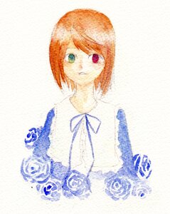 Rating: Safe Score: 0 Tags: 1girl blue_ribbon flower green_eyes heterochromia image looking_at_viewer red_eyes ribbon rose short_hair simple_background solo souseiseki upper_body white_background User: admin