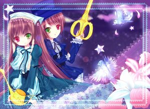 Rating: Safe Score: 0 Tags: 2girls bird brown_hair dress flower frills green_eyes heterochromia image long_hair long_sleeves looking_at_viewer multiple_girls pair red_eyes ribbon siblings sisters smile souseiseki suiseiseki twins very_long_hair User: admin