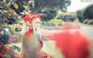 Rating: Safe Score: 0 Tags: 1girl blonde_hair blue_eyes blurry blurry_background blurry_foreground christmas_tree depth_of_field flower hat outdoors photo shinku solo User: admin