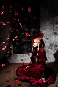 Rating: Safe Score: 0 Tags: 1girl blonde_hair blue_eyes bow dress flower long_hair petals red_dress red_flower rose rose_petals shinku sitting solo twintails User: admin