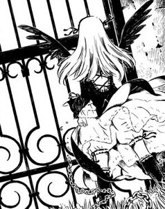 Rating: Safe Score: 0 Tags: chain dress feathers greyscale image long_hair monochrome multiple_girls solo suigintou wings User: admin