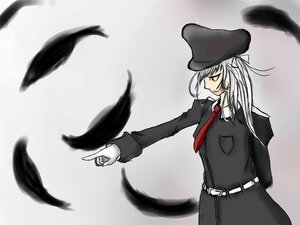 Rating: Safe Score: 0 Tags: 1girl belt bird black_feathers black_headwear blurry crow depth_of_field dove feathers hat image long_hair long_sleeves motion_blur necktie red_neckwear ribbon solo suigintou white_feathers User: admin