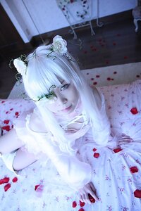 Rating: Safe Score: 0 Tags: 1girl blood blurry blurry_background closed_mouth depth_of_field dress flower green_eyes hair_ornament indoors kirakishou looking_at_viewer petals solo white_dress white_hair User: admin