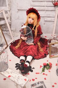 Rating: Safe Score: 0 Tags: 1girl birdcage blonde_hair blue_eyes bonnet cage dress flower instrument lips long_hair petals red_dress rose rose_petals shinku sitting solo User: admin