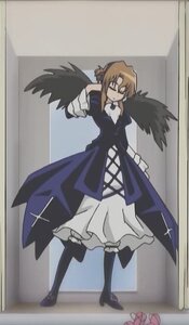 Rating: Safe Score: 0 Tags: 1girl black_legwear black_wings brown_hair dress feathered_wings glasses image long_sleeves solo standing suigintou wings User: admin