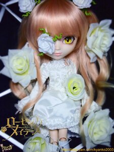 Rating: Safe Score: 0 Tags: 1girl bangs blurry blurry_background blurry_foreground depth_of_field doll dress flower hair_ornament kirakishou long_hair looking_at_viewer rose solo thighhighs white_dress white_flower white_rose yellow_eyes User: admin