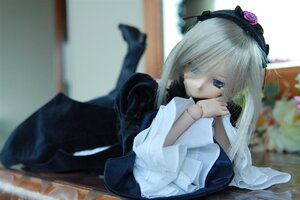 Rating: Safe Score: 0 Tags: 1girl bangs blue_eyes blurry blurry_background blurry_foreground closed_mouth depth_of_field doll dress flower frills hair_over_one_eye hairband long_hair long_sleeves looking_at_viewer lying on_stomach photo rose sitting solo suigintou white_hair User: admin