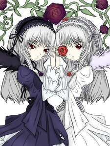 Rating: Safe Score: 0 Tags: 2girls black_wings costume_switch dress feathers flower frills hairband image juliet_sleeves long_hair long_sleeves looking_at_viewer multiple_girls purple_flower purple_rose red_eyes red_flower red_rose rose silver_hair suigintou wings User: admin