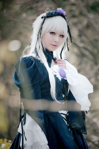 Rating: Safe Score: 0 Tags: 1girl bangs blurry blurry_background closed_mouth depth_of_field dress flower lips long_hair looking_at_viewer photo red_eyes ribbon solo suigintou white_hair User: admin