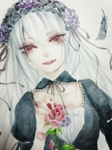 Rating: Safe Score: 0 Tags: 1girl dress flower image long_hair looking_at_viewer red_eyes rose silver_hair smile solo suigintou traditional_media upper_body User: admin