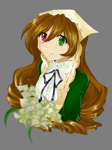 Rating: Safe Score: 0 Tags: 1girl brown_hair dress drill_hair flower frills green_eyes heterochromia image long_hair long_sleeves looking_at_viewer red_eyes ribbon smile solo suiseiseki transparent_background upper_body very_long_hair User: admin