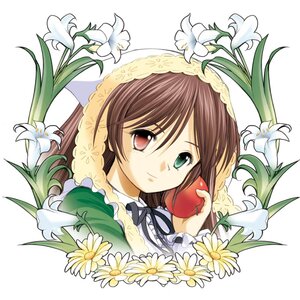 Rating: Safe Score: 0 Tags: 1girl apple brown_hair daisy flower frills fruit green_eyes head_scarf heterochromia holding image lily_(flower) long_hair looking_at_viewer red_eyes ribbon smile solo suiseiseki upper_body white_flower User: admin
