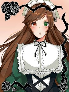 Rating: Safe Score: 0 Tags: 1girl black_ribbon blush brown_hair bug butterfly dress flower frills green_eyes heterochromia image insect long_hair long_sleeves looking_at_viewer red_eyes ribbon rose solo suiseiseki upper_body User: admin