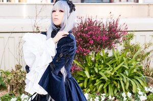 Rating: Safe Score: 0 Tags: 1girl bangs blurry closed_mouth depth_of_field dress flower hairband long_sleeves photo plant red_eyes solo standing suigintou white_hair User: admin