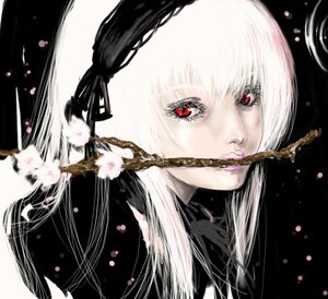 Rating: Safe Score: 0 Tags: 1girl bangs flower image long_hair looking_at_viewer mouth_hold petals portrait red_eyes solo suigintou white_hair User: admin