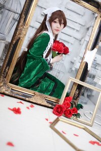 Rating: Safe Score: 0 Tags: 1girl blurry brown_hair dress flower green_dress long_hair petals photo ponytail red_flower red_rose rose solo suiseiseki very_long_hair User: admin