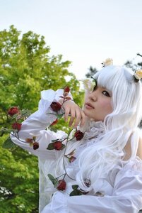 Rating: Safe Score: 0 Tags: 1girl animal_ears bangs closed_mouth flower kirakishou lips long_hair long_sleeves outdoors red_flower red_rose rose solo upper_body white_hair User: admin