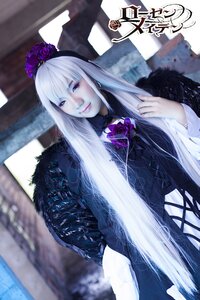 Rating: Safe Score: 0 Tags: 1girl blurry blurry_background coat depth_of_field flower fur_trim long_hair looking_at_viewer purple_eyes solo suigintou User: admin