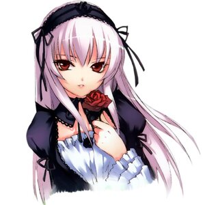 Rating: Safe Score: 0 Tags: 1girl black_ribbon detached_collar dress flower frills hairband holding holding_flower image long_hair long_sleeves looking_at_viewer puffy_sleeves red_eyes red_flower red_rose ribbon rose simple_background solo suigintou upper_body white_background User: admin