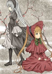 Rating: Safe Score: 0 Tags: 2girls blonde_hair blue_eyes bonnet bow dress flower frills green_eyes hairband image long_hair long_sleeves multiple_girls pair red_dress shinku silver_hair sitting suigintou twintails very_long_hair User: admin