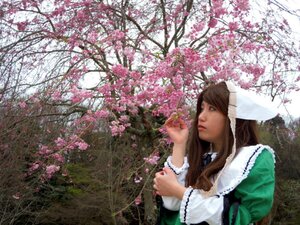 Rating: Safe Score: 0 Tags: 1girl brown_eyes brown_hair cherry_blossoms day dress head_scarf lips long_hair long_sleeves outdoors solo suiseiseki tree User: admin