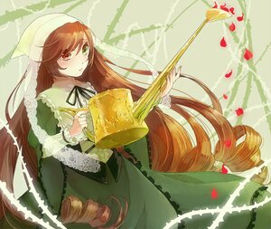 Rating: Safe Score: 0 Tags: 1girl brown_hair dress drill_hair frills green_dress green_eyes heterochromia holding image long_hair long_sleeves petals red_eyes solo suiseiseki twin_drills very_long_hair watering_can User: admin