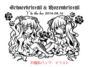 Rating: Safe Score: 0 Tags: 2girls barasuishou boots bow dress eyepatch flower greyscale hair_flower hair_ornament image kirakishou long_hair monochrome multiple_girls pair rose sitting thigh_boots thighhighs twintails User: admin