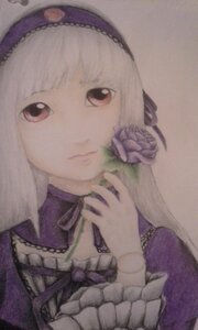 Rating: Safe Score: 0 Tags: 1girl bangs closed_mouth flower frills hairband image long_hair long_sleeves looking_at_viewer purple_flower purple_rose red_eyes rose solo suigintou white_hair User: admin