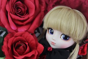 Rating: Safe Score: 0 Tags: 1girl bangs blonde_hair blue_eyes doll flower lips looking_at_viewer pink_rose red_flower red_rose rose rose_petals shinku solo User: admin