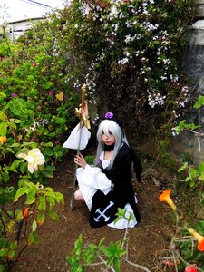 Rating: Safe Score: 0 Tags: 1girl dress flower long_hair plant sitting solo suigintou white_hair User: admin