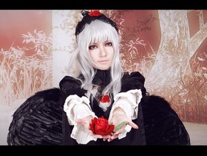 Rating: Safe Score: 0 Tags: 1girl auto_tagged dress flower gothic_lolita letterboxed lolita_fashion long_hair red_flower red_rose rose silver_hair solo suigintou white_hair wings User: admin