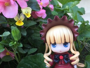 Rating: Safe Score: 0 Tags: 1girl bangs blonde_hair blue_eyes blunt_bangs bonnet bow bowtie doll dress flower hat long_hair long_sleeves looking_at_viewer nature pink_flower shinku solo User: admin