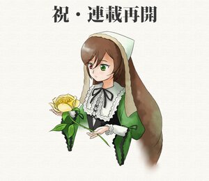 Rating: Safe Score: 0 Tags: 1girl black_ribbon brown_hair dress flower frills green_dress green_eyes heterochromia holding image long_hair long_sleeves red_eyes ribbon simple_background solo suiseiseki very_long_hair watering_can white_background User: admin