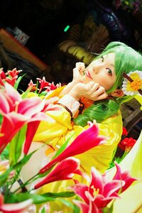 Rating: Safe Score: 0 Tags: 1girl blurry depth_of_field flower green_eyes green_hair hair_flower hair_ornament kanaria lips looking_at_viewer solo User: admin