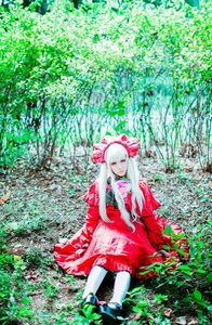 Rating: Safe Score: 0 Tags: 1girl bonnet bow closed_eyes dress flower forest long_hair nature red_dress shinku solo standing User: admin