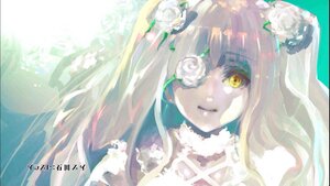 Rating: Safe Score: 0 Tags: 1girl bangs closed_mouth flower hair_flower hair_ornament image kirakishou long_hair rose solo white_flower white_rose yellow_eyes User: admin