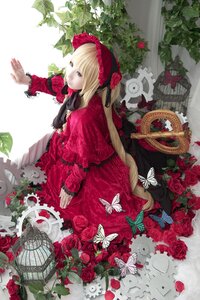 Rating: Safe Score: 0 Tags: 1girl birdcage blonde_hair blue_butterfly bonnet bug butterfly cage dress flower insect long_hair red_dress red_flower red_rose rose shinku solo very_long_hair User: admin