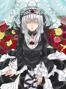 Rating: Safe Score: 0 Tags: 1girl black_dress closed_eyes dress flower frills gothic_lolita hairband image lolita_fashion long_hair long_sleeves orange_flower pink_rose purple_rose red_flower red_rose rose silver_hair solo suigintou white_rose yellow_flower yellow_rose User: admin