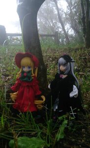 Rating: Safe Score: 0 Tags: 2girls blonde_hair blue_eyes bonnet bow doll dress flower forest long_hair long_sleeves multiple_dolls multiple_girls nature outdoors pink_bow red_dress rose shinku silver_hair sitting suigintou tagme twintails User: admin