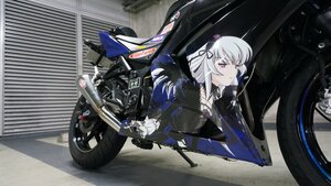 Rating: Safe Score: 0 Tags: 1girl boots dress ground_vehicle image long_hair motor_vehicle motorcycle purple_eyes ribbon silver_hair solo suigintou User: admin