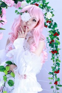 Rating: Safe Score: 0 Tags: 1girl flower food fruit jewelry kirakishou leaf lips long_hair pink_hair plant realistic ring solo strawberry User: admin