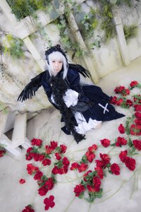 Rating: Safe Score: 0 Tags: 1girl black_wings dress feathers flower long_hair red_flower red_rose rose solo suigintou white_hair wings User: admin