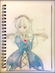 Rating: Safe Score: 0 Tags: 1girl blue_dress dress flower frills hairband image juliet_sleeves long_hair long_sleeves looking_at_viewer photo red_eyes ribbon rose simple_background smile solo suigintou traditional_media wings User: admin