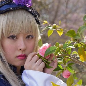 Rating: Safe Score: 0 Tags: 1girl bangs blonde_hair closed_mouth flower leaf lips looking_at_viewer plant realistic solo suigintou User: admin