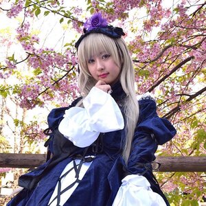 Rating: Safe Score: 0 Tags: 1girl bangs dress flower lips long_hair long_sleeves looking_at_viewer purple_flower sleeves_past_wrists solo suigintou User: admin