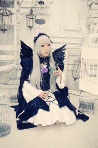 Rating: Safe Score: 0 Tags: 1girl bird cage crow dress feathers flower frills lips long_hair long_sleeves sitting solo suigintou wings User: admin