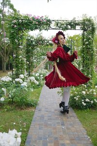 Rating: Safe Score: 0 Tags: 1girl black_footwear blonde_hair bow dress fence flower long_sleeves looking_back outdoors plant red_dress shinku shoes solo standing white_flower white_legwear User: admin