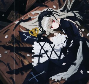 Rating: Safe Score: 0 Tags: 1girl black_ribbon black_wings dress feathers flower frilled_sleeves frills hairband image long_hair long_sleeves looking_at_viewer red_eyes ribbon rose silver_hair smile solo suigintou wings User: admin